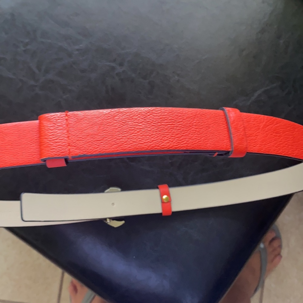 Belt - Picture 3 of 7